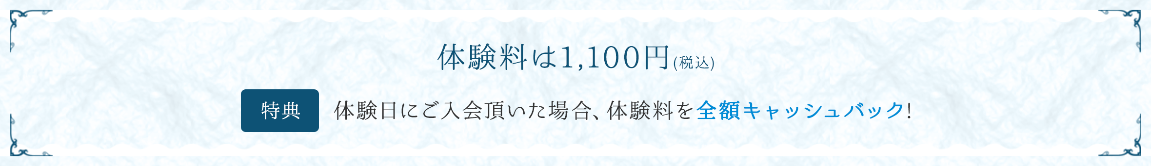 体験料は1,100円